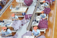 May Sông Hồng đặt kế hoạch 99Kl.app mobile mới nhất 35-45% năm 2019