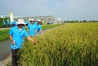 Lộc Trời chuyển biến mạnh trong quản trị hệ thống, phản ảnh dần vào hoạt động