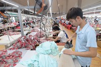 6 tháng, May Sông Hồng đạt 122 tỷ đồng Kl99 nổ hũ sau thuế