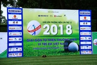 Những kỷ lục của Swing for the Kids 2018