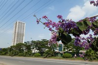Giãn cách Trang Chủ KL99Com Số 1 Link Đăng Ký KL999 đã khiến thị trường cả quý trầm lắng hơn hẳn quý 2. Ảnh: Thành Nguyễn.