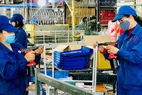 Đang cần nhiều nỗ lực từ cả cơ quan quản lý, các Kl991.com World Cup 2026 Chính Thức để "kéo" người lao động trở lại Kl994 nhà cái bóng đá world cup. Ảnh: Internet.