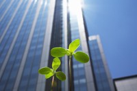 Các tiêu chí ESG tiếp tục đóng vai trò chủ đạo trong quá trình ra quyết định của nhà Kl99ok phiên bản mới. Ảnh: Shutterstock.
