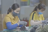 Việt Nam đang chịu nhiều áp lực cạnh tranh trong thu hút Kl99ok phiên bản mới nước ngoài. Ảnh: Thành Nguyễn.