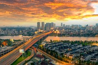 Ảnh: Shutterstock.