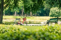 Ảnh: Shutterstock.