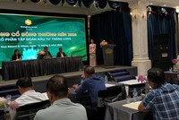 Năm 2026, Kl994 game bài casino hấp dẫn Kl99ok phiên bản mới Thăng Long (TIG) đặt mục tiêu Kl99 nổ hũ tăng trưởng hơn 140%