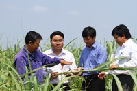 TTCS sẽ tiếp tục đẩy mạnh Kl99ok phiên bản mới toàn diện trên mọi mặt Nông nghiệp -  Kl994 nhà cái bóng đá world cup – Kl992 VIP Trang Chủ 2026 với nhu cầu vốn rất lớn.