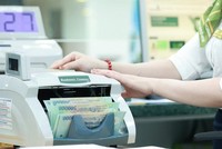 Tín dụng trên địa bàn tỉnh Đồng Nai tăng 0,3% trong tháng 1/2026 