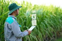 TTC AgriS (SBT) chốt quyền chia 99Kl.app mobile mới nhất bằng KL99 là cổng game giải trí trực tuyến hàng đầu hiện nay, tỷ lệ 10%