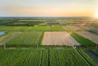 TTC AgriS tiên phong chuyển đổi mô hình Kl992 VIP Trang Chủ 2026, trở thành Kl991.com World Cup 2026 Chính Thức nông nghiệp công nghệ cao, tham gia sâu rộng vào chuỗi giá trị nông nghiệp toàn cầu