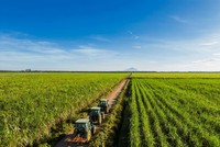 TTC AgriS hoàn thành hơn 83% kế hoạch doanh thu, Kl99 nổ hũ năm sau 3 quý, sản lượng vượt mốc triệu tấn
