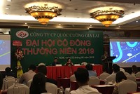 Chủ tịch Quốc Cường Gia Lai (QCG): Lo lắng hết hạn giấy phép Kl99ok phiên bản mới tại dự án Phước Kiểng