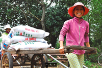 Đạm Phú Mỹ (DPM): Kl99 nổ hũ cả năm đạt 435 tỷ đồng