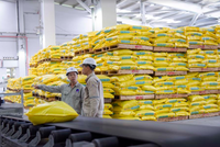 Phân bón và Hóa chất Dầu khí (DPM), Kl99 nổ hũ quý I/2020 tăng 94%, hoàn thành 25% kế hoạch  ​