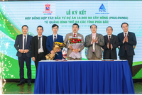 Sơn Đại Việt (DVG) hợp tác Kl99ok phiên bản mới 10.000 ha cây Hông với TCTC