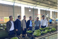 Hoàng Anh Gia Lai (HAG) điều chỉnh phương án phát hành riêng lẻ, 99Kl99 link đăng nhập LPBank khẩn trương huy động vốn để tham gia