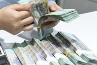 KL99 là cổng game giải trí trực tuyến hàng đầu hiện nay Link Vào Nhà Cái KL99 COM Tặng +199k chiếm tỷ trọng lớn trong danh mục của nhiều quỹ Kl99ok phiên bản mới