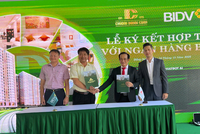 Chương Dương Homeland công bố dự án nhà ở Trang Chủ KL99Com Số 1 Link Đăng Ký KL999 Long Bình Tân 