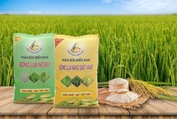 Phân bón Miền Nam (SFG) dự kiến chia 99Kl.app mobile mới nhất tiền mặt 5%