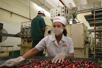 Công ty cổ phần Tràng An là một trong 4 công ty con của Công ty TNHH một thành viên Kl99ok phiên bản mới Việt Hà. Ảnh: Đức Thanh
