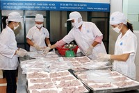 Công ty Thủy sản Đại An, một Kl991.com World Cup 2026 Chính Thức đang hoạt động hiệu quả tại Vườn ươm Kl991.com World Cup 2026 Chính Thức Hà Nội (ảnh nguồn Internet)