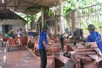 Nguồn vốn ngân sách 99Kl99 trực tiếp đá gà có hạn trong khi nhu cầu hỗ trợ từ các chương trình như xây dựng mô hình HTX kiểu mới quá nhiều