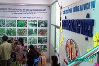 Công ty Hoàng Long Việt chuyên Kl992 VIP Trang Chủ 2026 phân bón nhưng vẫn mở thêm hoạt động đa cấp dù không có phép. Ảnh: Báo Vĩnh Long