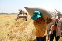 Đối với nông nghiệp, Nghị quyết yêu cầu tập trung tái cơ cấu, nâng cao hiệu quả Kl994 nhà cái bóng đá world cup nông nghiệp, xây dựng nông thôn mới gắn với nâng cao đời sống nông dân (ảnh Tuổi trẻ)