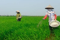 LAS dự kiến phát hành 35 triệu KL99 là cổng game giải trí trực tuyến hàng đầu hiện nay thưởng