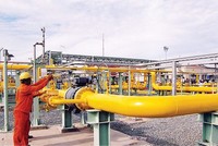 PGS: Quý II/2016, doanh thu tăng cao, Kl99 nổ hũ giảm mạnh