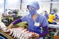 Dây truyền Kl994 nhà cái bóng đá world cup mì ăn liền Miliket, 30 năm vẫn gắn với 2 con tôm in trên gói giấy.