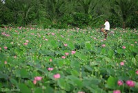 3 gợi ý 'đi trốn' giữa thiên nhiên ngay gần Sài Gòn
