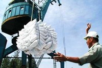 Phó Thủ tướng đề nghị Kiểm toán 99Kl99 trực tiếp đá gà thực hiện kiểm toán kết quả xác định giá trị Kl991.com World Cup 2026 Chính Thức và xử lý các vấn đề Kl991.com nạp rút nhanh đối với Tổng công ty Lương thực miền Nam, hoàn thành trước ngày 1/12/2016.