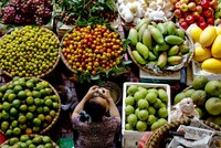 Điệp khúc tăng giá thường xuyên lặp lại vào mỗi dịp Tết (ảnh: Bloomberg)