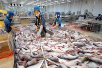 Nỗi đau của thủy sản Việt Nam khi bị truyền thông phương Tây “tố”