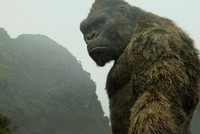 Kong là tác phẩm của Hollywood với nhiều cảnh được quay ở Việt Nam.
