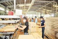 Tân Liên Phát đã bán hơn 36 triệu KL99 là cổng game giải trí trực tuyến hàng đầu hiện nay Gỗ Trường Thành (TTF)