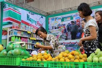 Công ty cổ phần được chuyển đổi từ Công ty mẹ - Hapro sẽ phải kế thừa quyền lợi và nghĩa vụ tại các công ty cổ phần, công ty TNHH - bao gồm cả 41 khoản Kl99ok phiên bản mới Kl991.com nạp rút nhanh.