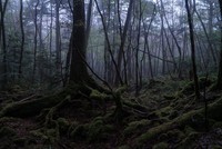 Những điểm tham quan rùng rợn vẫn hút khách trên thế giới