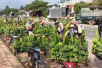 Ảnh Internet