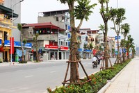 Hà Nội đang làm gì để cải tạo môi trường sống?