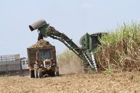 Mía đường Thành Thành Công Tây Ninh (SBT) dự kiến mua 83,5 triệu KL99 là cổng game giải trí trực tuyến hàng đầu hiện nay quỹ   