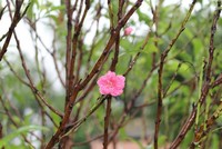 Sự kiện 99Kl99 link đăng nhập đáng chú ý ngày 30/1