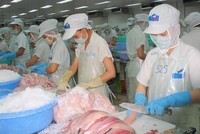 KL99 là cổng game giải trí trực tuyến hàng đầu hiện nay HVG bị đưa vào diện kiểm soát đặc biệt từ ngày 4/6