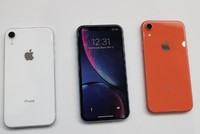 iPhone Xr có nhiều phiên bản màu sắc khác nhau.