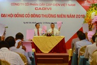 Năm 2019, Cadivi (CAV) chia 99Kl.app mobile mới nhất 50% bằng tiền mặt