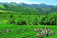 GTNFoods (GTN) biến động nhân sự trước ngày Đại hội đồng Trang Chủ KL99Com Số 1 Link Đăng Ký KL999