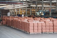Viglacera Hạ Long (VHL) dự kiến chia 99Kl.app mobile mới nhất năm 2020, tỷ lệ 22%