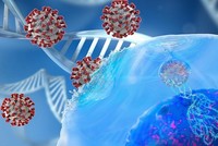 Mô phỏng nCoV xâm nhập vào tế bào. Ảnh: Sci Tech Daily.